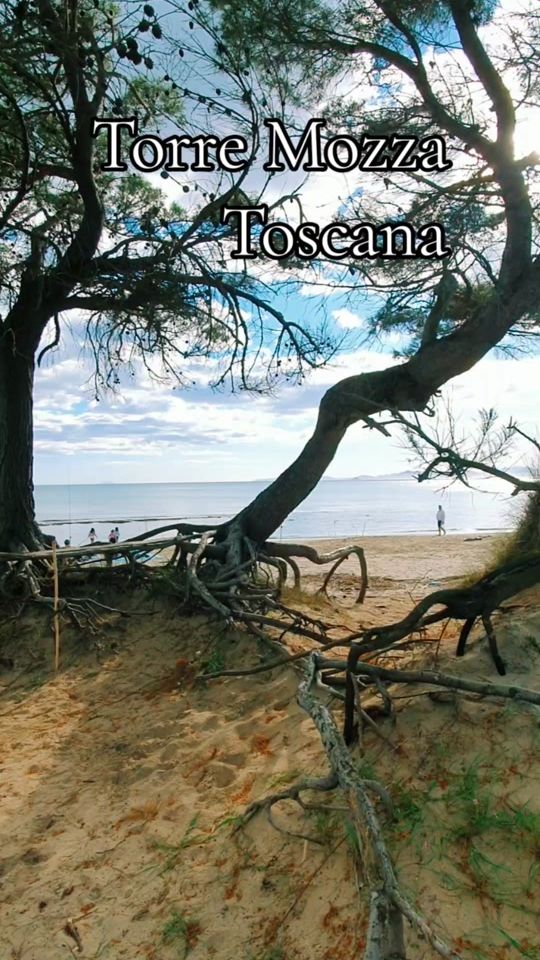 TikTok video thumbnail by tuscanyphoto