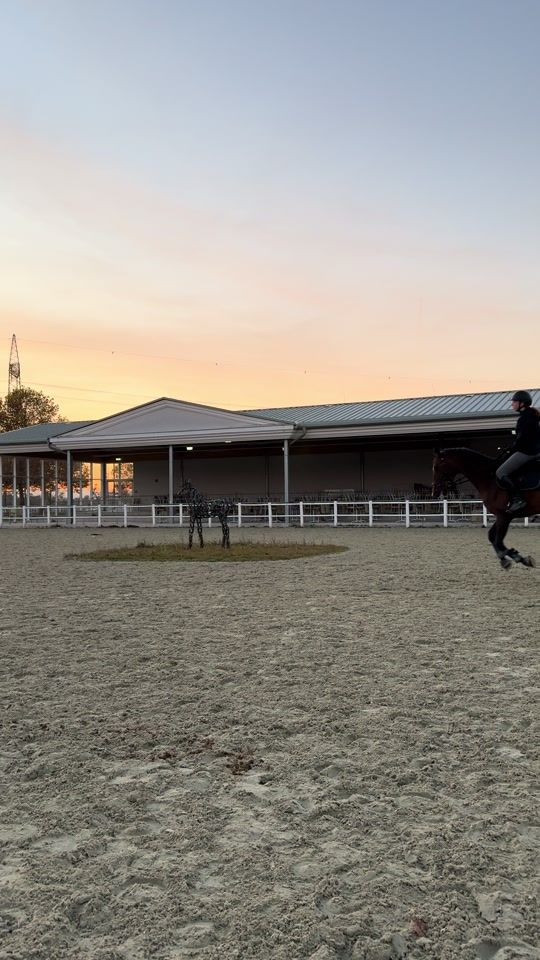 TikTok video thumbnail by showjumping.finni