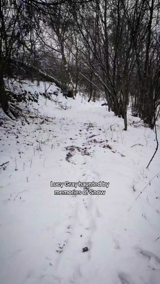 TikTok video thumbnail by sisiannye