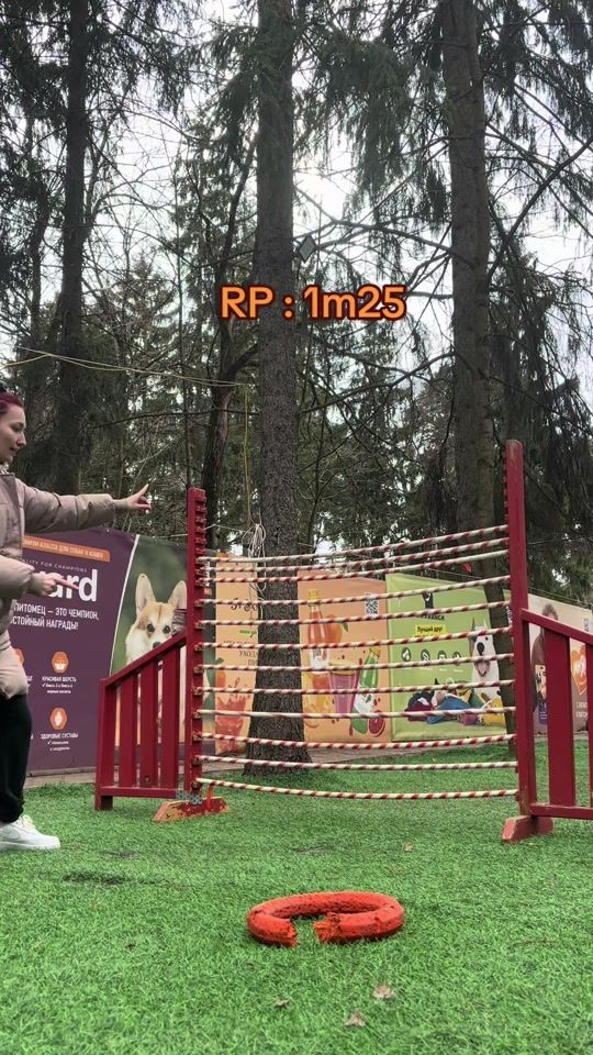 TikTok video thumbnail by daedra_freyja
