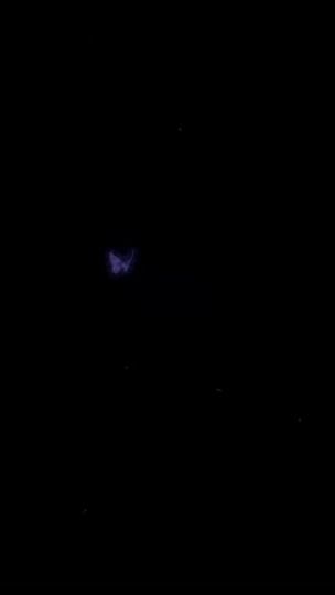 TikTok video thumbnail by butter_flys4