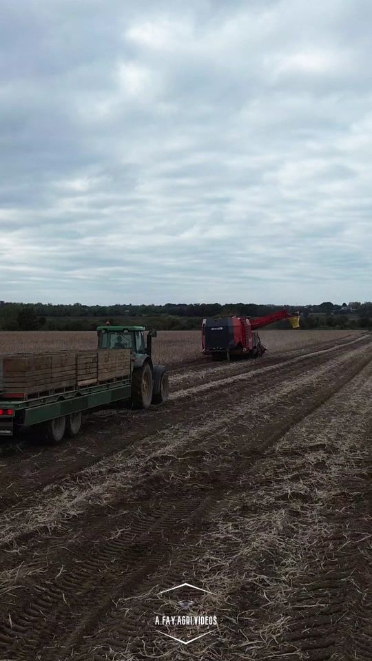 TikTok video thumbnail by a.fay.agri.videos