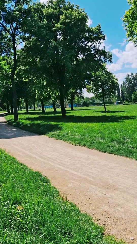 TikTok video thumbnail by mohammad.alfares