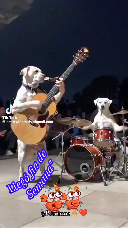 TikTok video thumbnail by roxanacrespo3