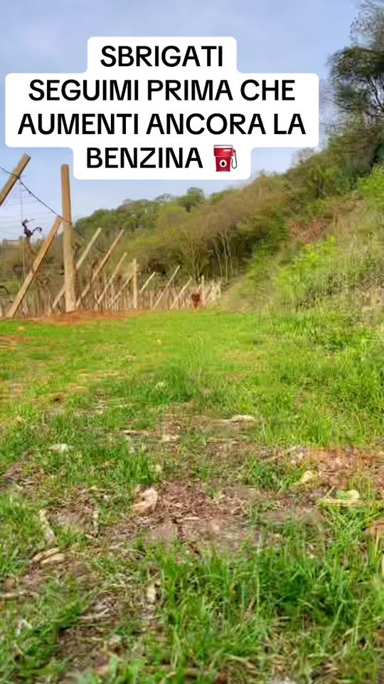 TikTok video thumbnail by thor.lionking