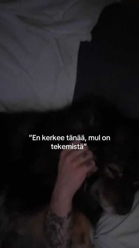 TikTok video thumbnail by laine.eccu