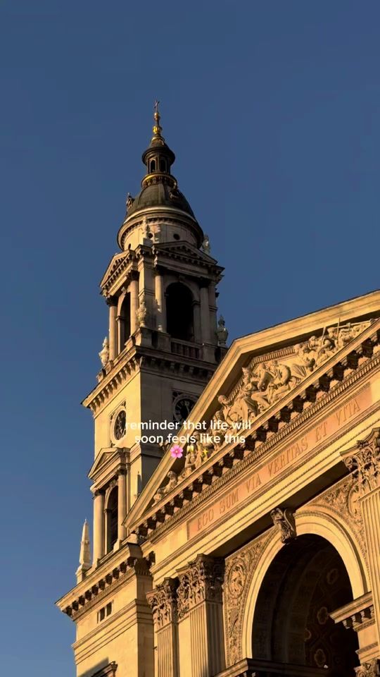 TikTok video thumbnail by divinowinebar