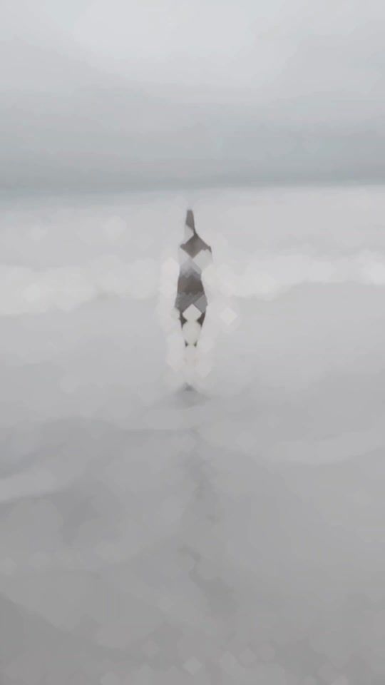 TikTok video thumbnail by laviniaraluk