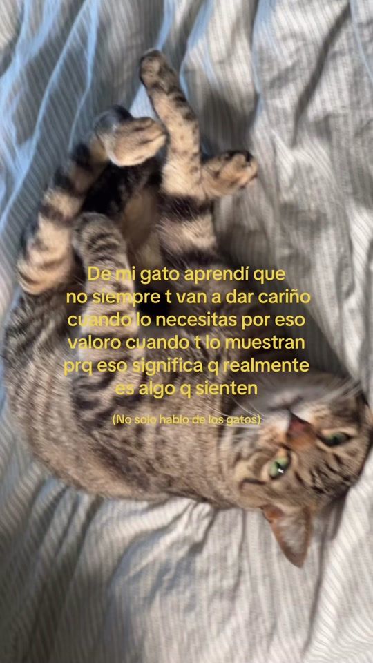 TikTok video thumbnail by alexbrnabeu