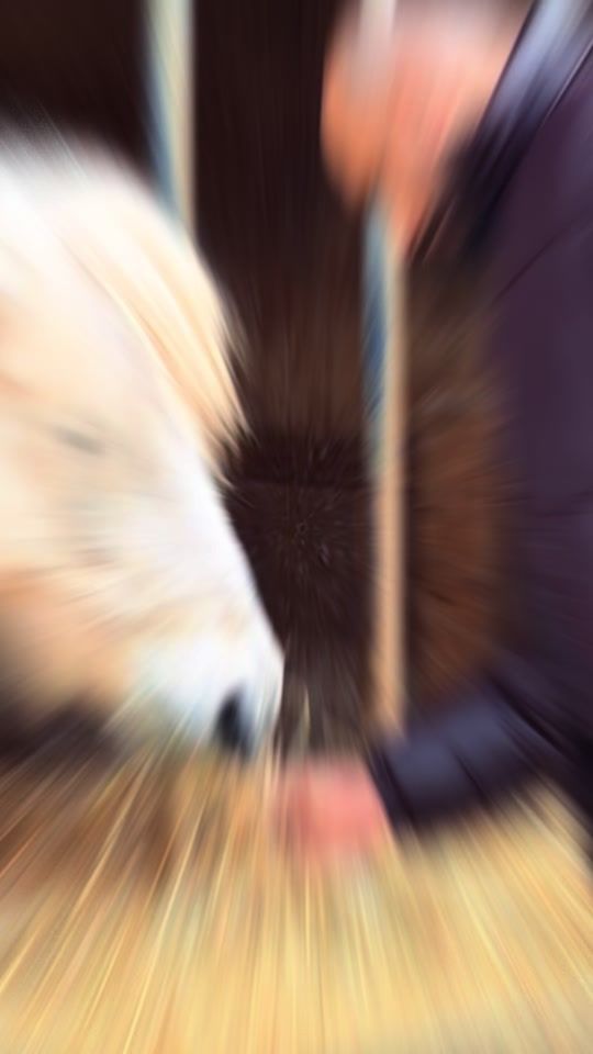 TikTok video thumbnail by armannangarhari0