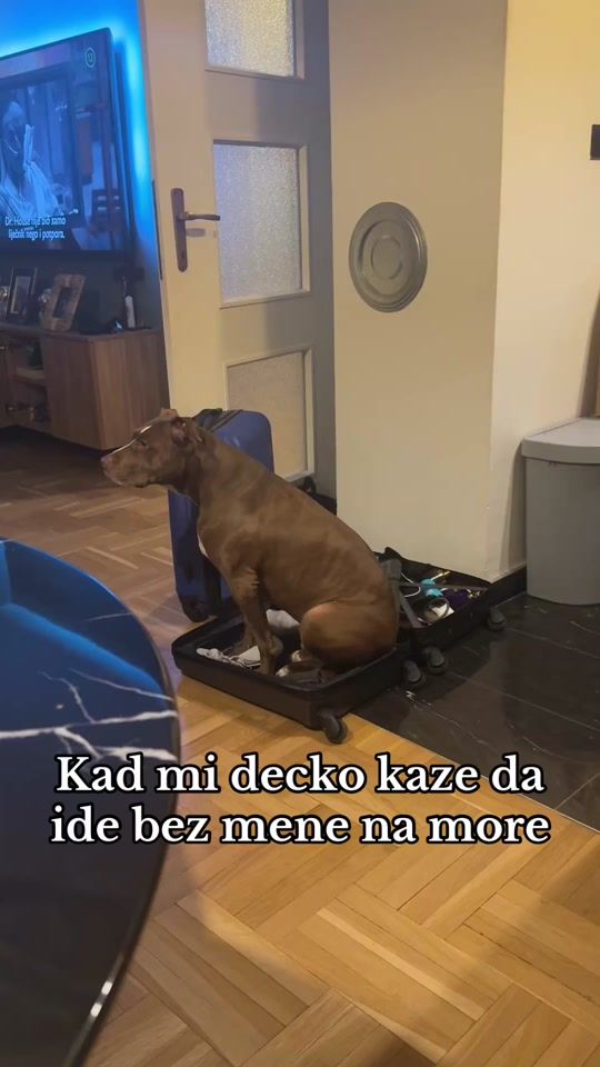TikTok video thumbnail by nikandchill