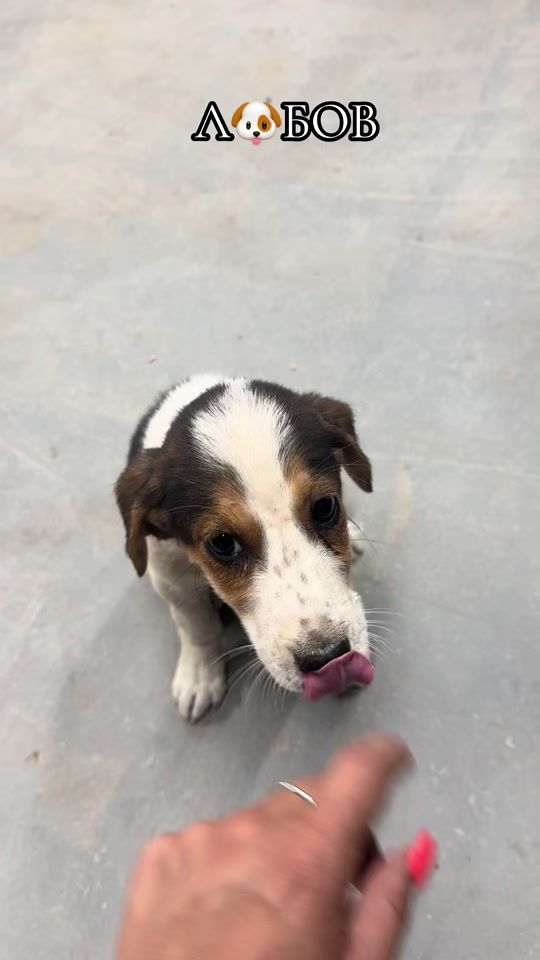 TikTok video thumbnail by preslava_44