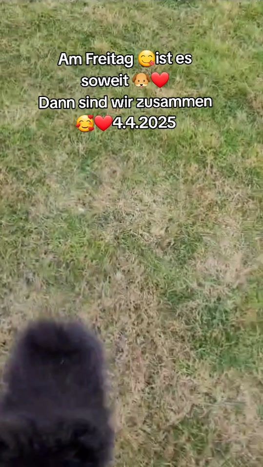 TikTok video thumbnail by lydiagogoo