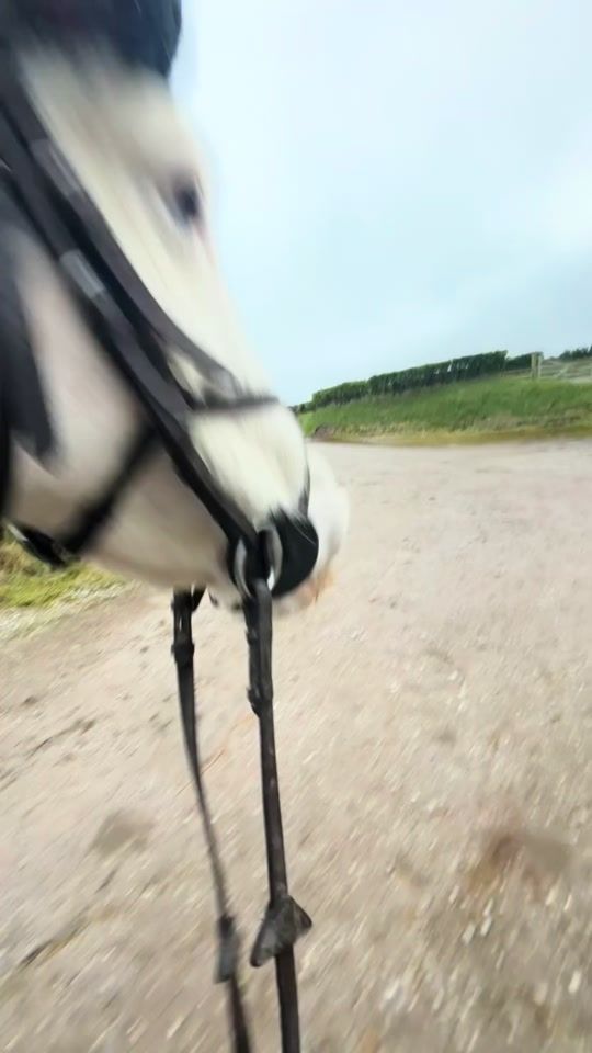 TikTok video thumbnail by mplequestrian