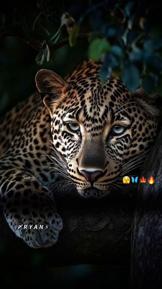 TikTok video thumbnail by r_y__a_n__1
