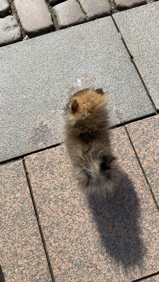 TikTok video thumbnail by mariatrustrup