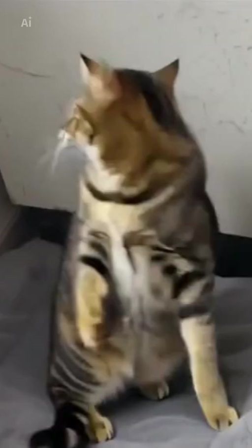 TikTok video thumbnail by lesfredises