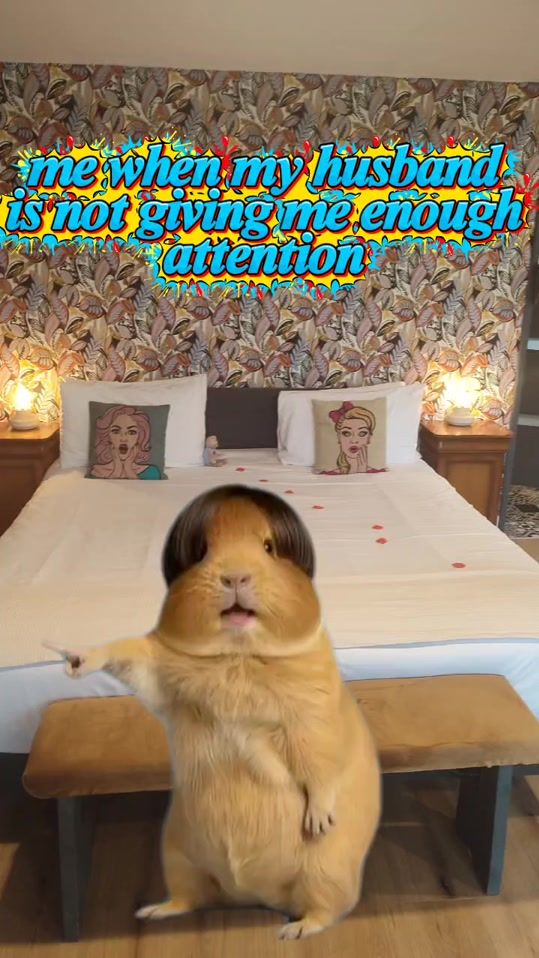 TikTok video thumbnail by lorrainec55