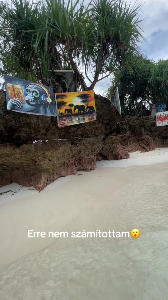 TikTok video thumbnail by beajambor