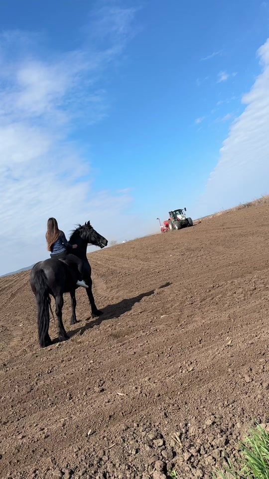 TikTok video thumbnail by agro.lory