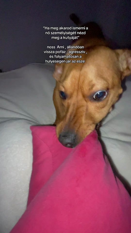 TikTok video thumbnail by toth.reka2