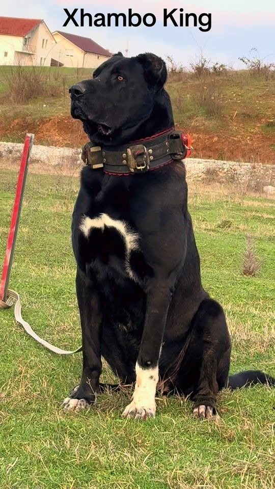 TikTok video thumbnail by _ditii04