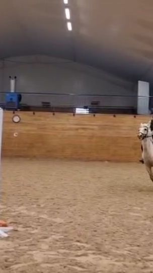 TikTok video thumbnail by lovissundling._