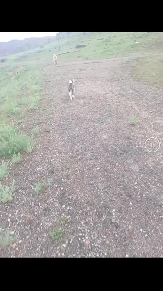 TikTok video thumbnail by saminnn_008