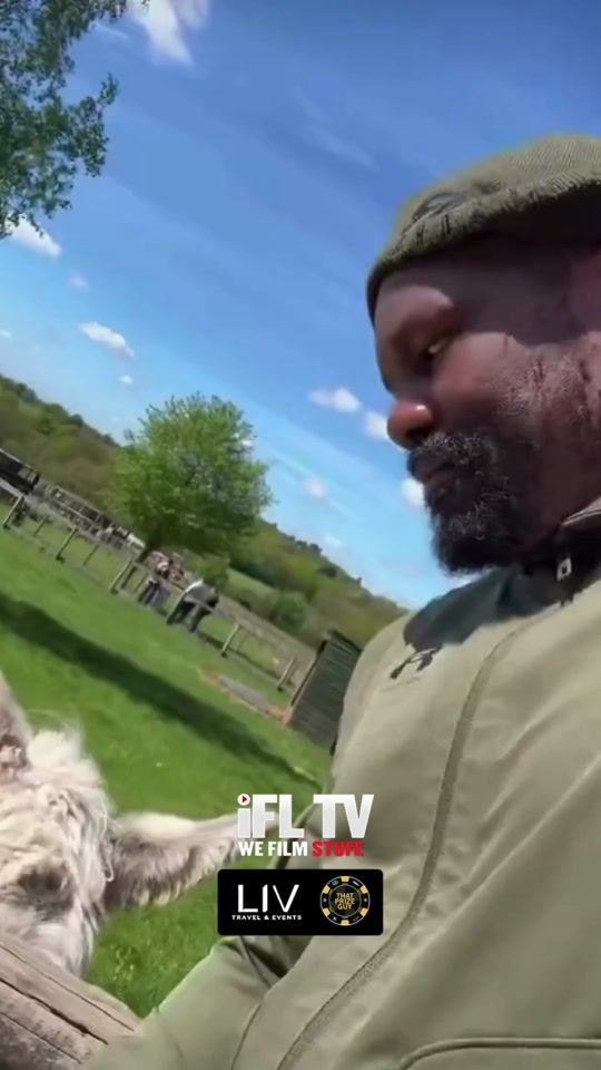 TikTok video thumbnail by ifltvboxing