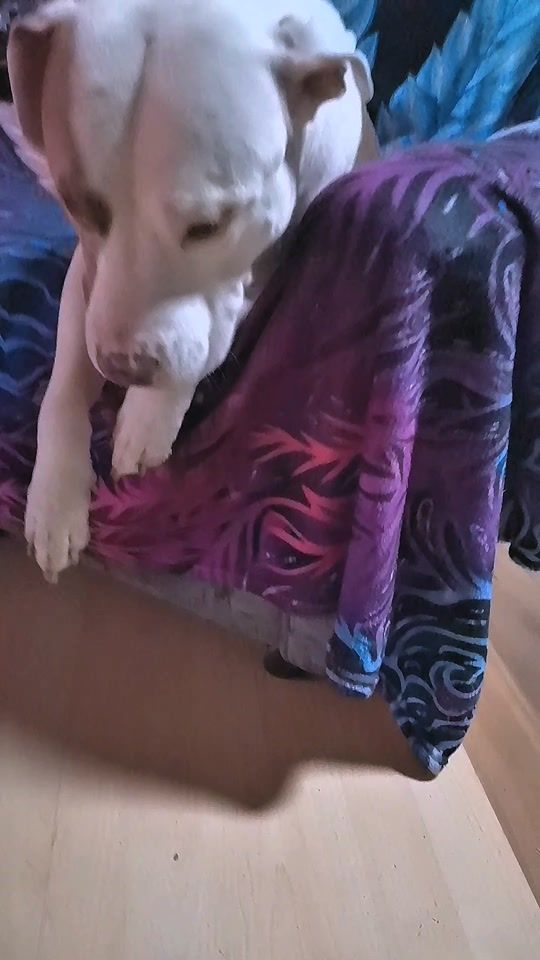 TikTok video thumbnail by kevin_amstaff_diana