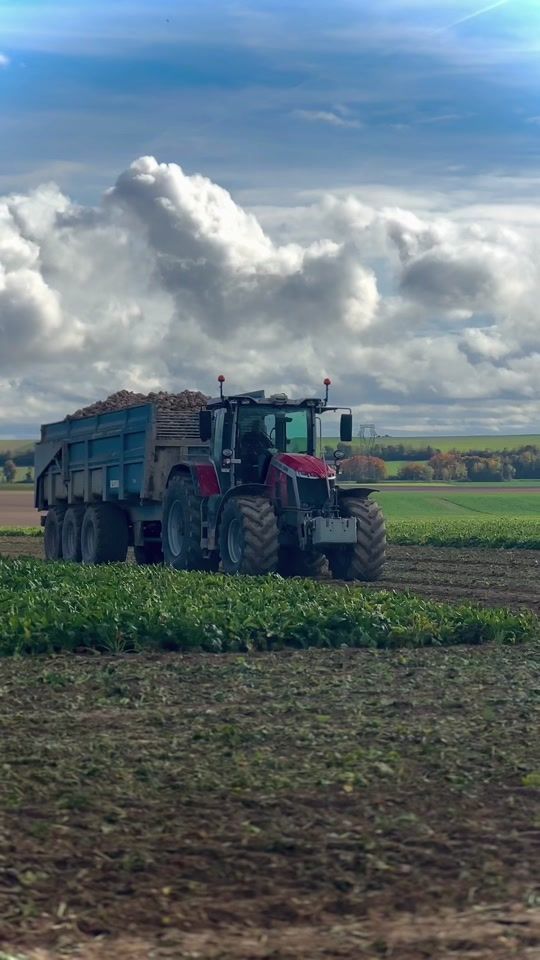 TikTok video thumbnail by tv.prod_agri
