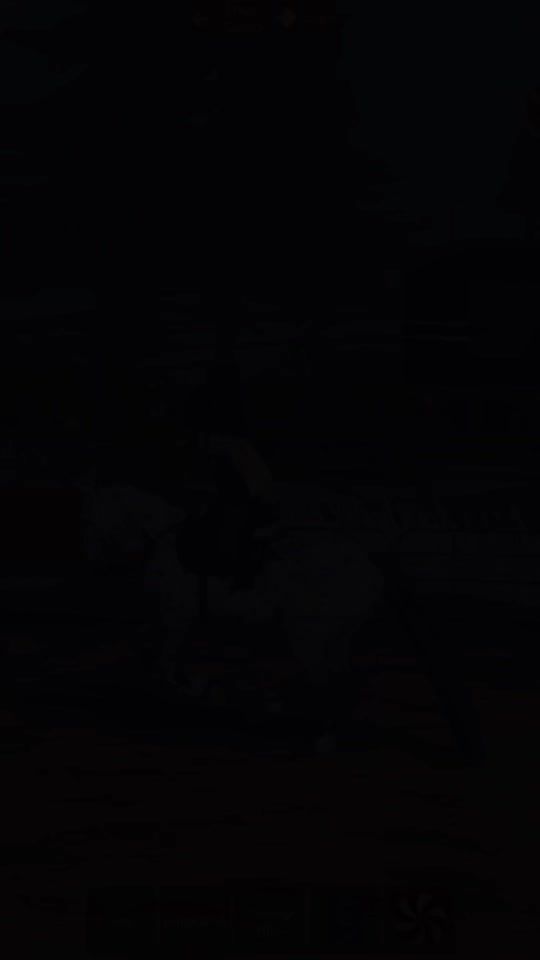 TikTok video thumbnail by equine_eryn