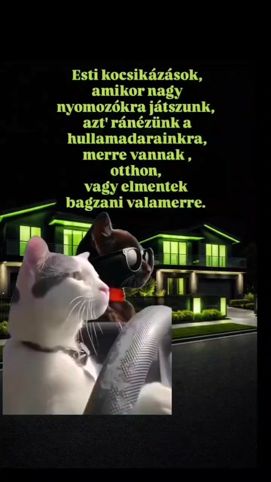 TikTok video thumbnail by blbmemek
