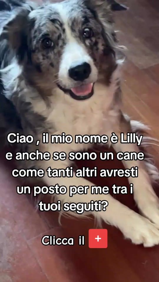 TikTok video thumbnail by lilly.chloe2023