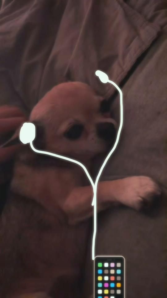 TikTok video thumbnail by _evelinacelin