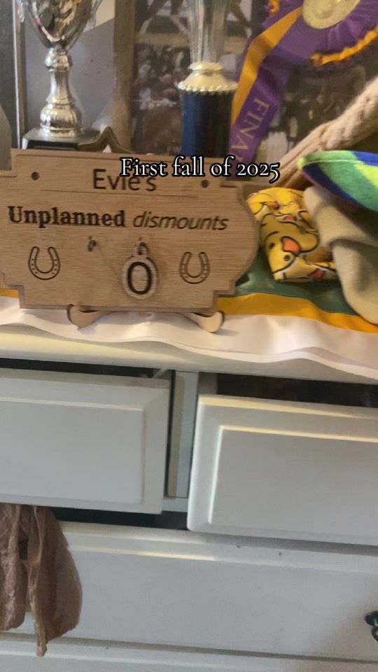 TikTok video thumbnail by the_feral_equestrian