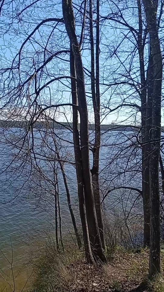 TikTok video thumbnail by ramintatamulyte