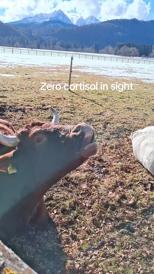 TikTok video thumbnail by user8ug2vy3g00