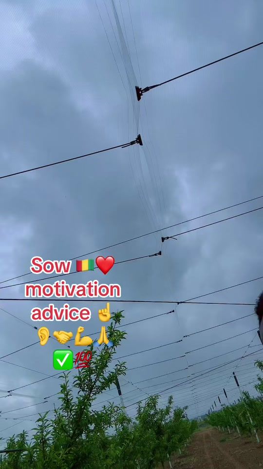 TikTok video thumbnail by issoga1
