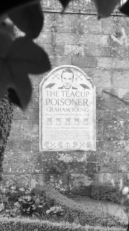 TikTok video thumbnail by alnwickgarden