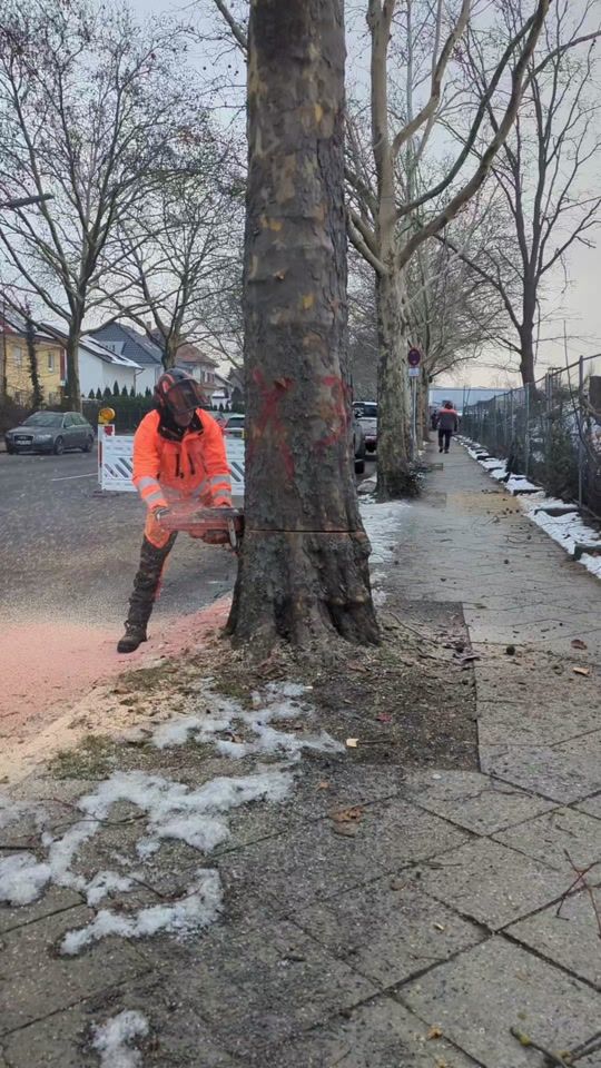 TikTok video thumbnail by bastians_welt