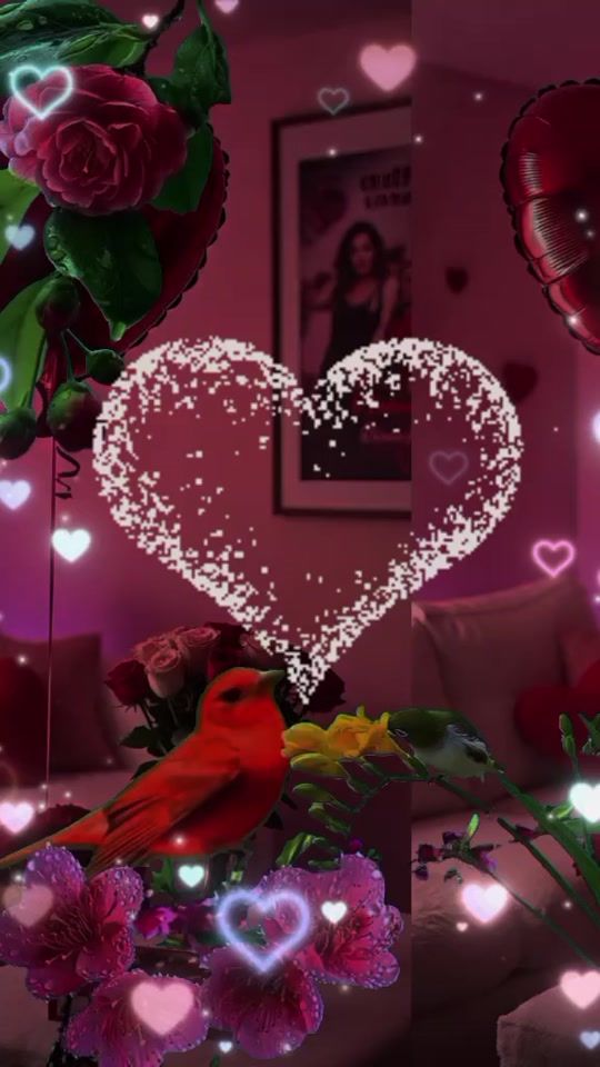 TikTok video thumbnail by bt_flammedamour