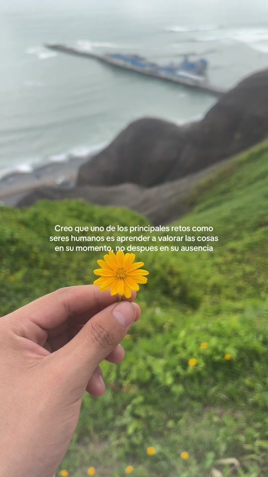 TikTok video thumbnail by david10.reyes