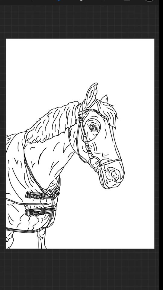 TikTok video thumbnail by horse._.drawings