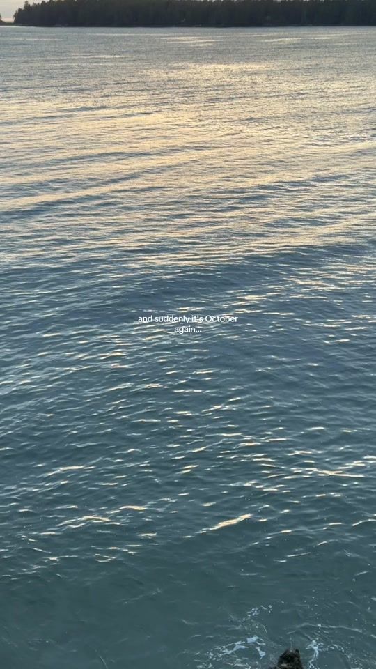TikTok video thumbnail by johanna.gssl