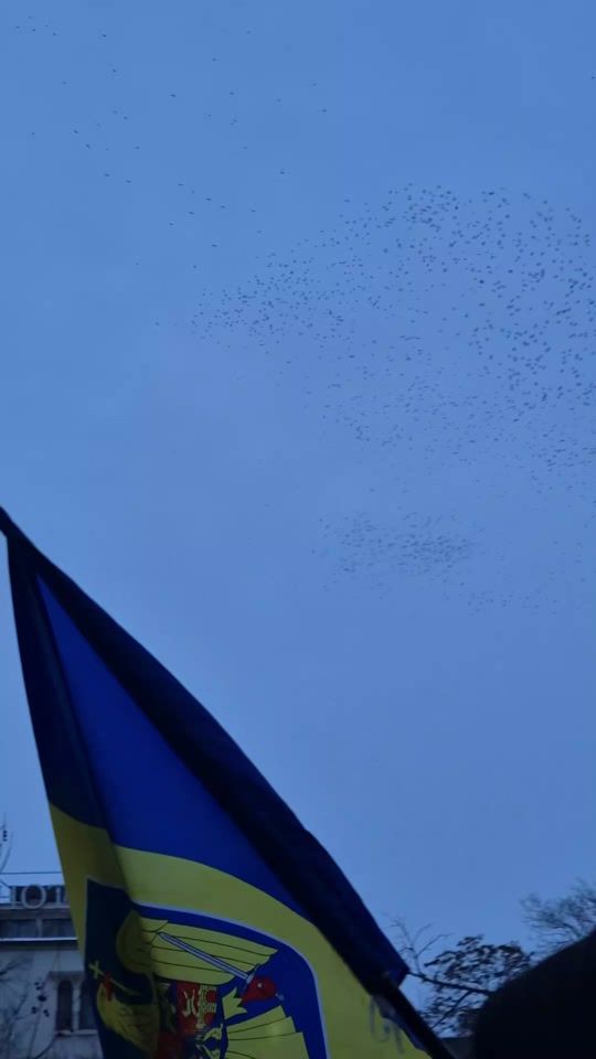 TikTok video thumbnail by mirabelabela43