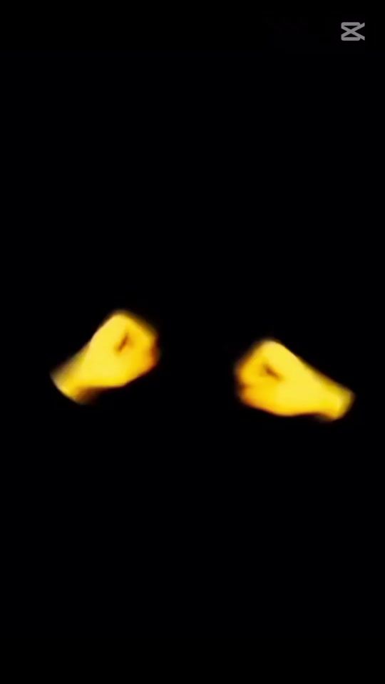 TikTok video thumbnail by marwa_hnj
