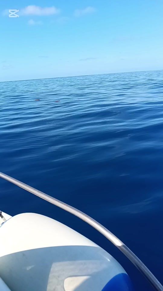 TikTok video thumbnail by massimovitaglian6