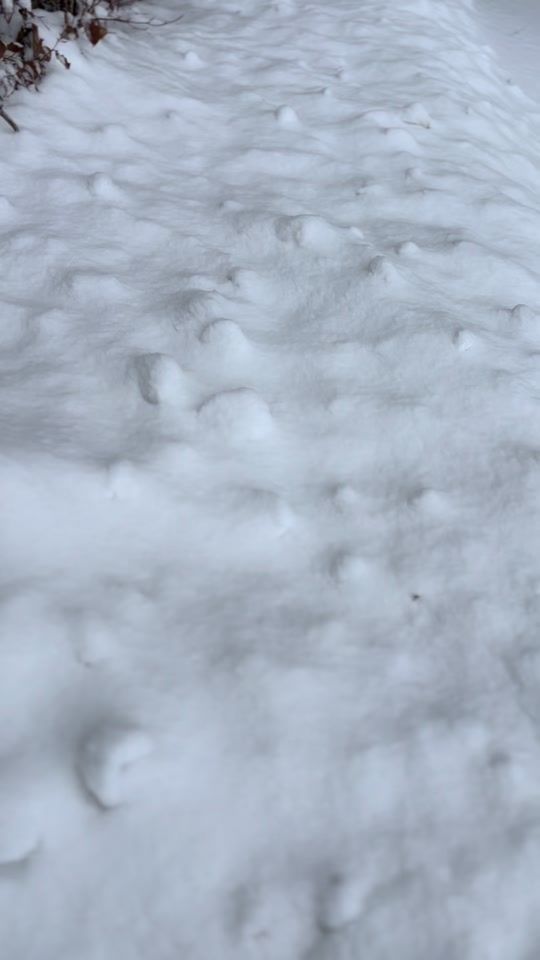 TikTok video thumbnail by daa.schwendta