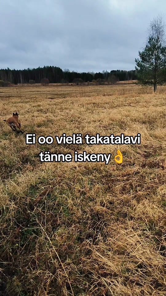 TikTok video thumbnail by jonhar1984